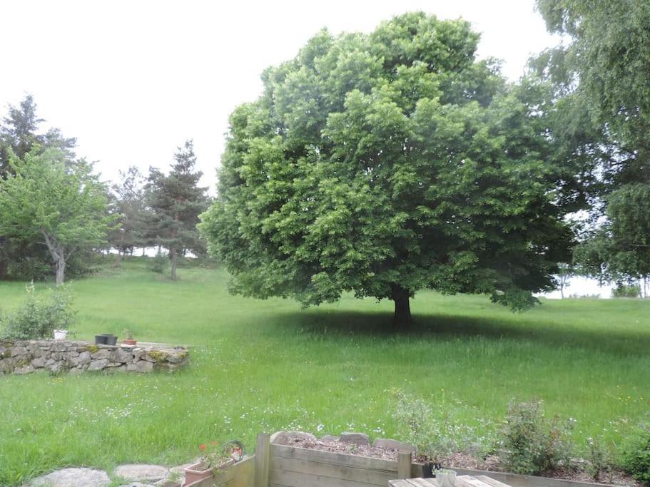 Chambre A La Campagne Saint Andre De Chalencon מראה חיצוני תמונה